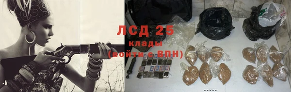 стаф Нефтегорск